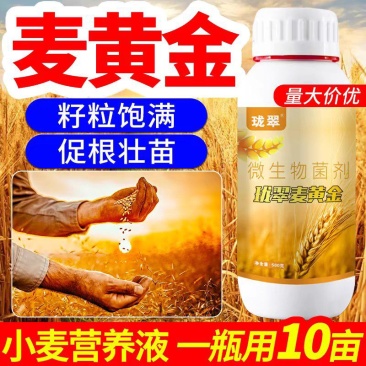 珑翠麦黄金水溶肥小麦营养液粒大分蘖抗倒伏小麦高产专用叶面