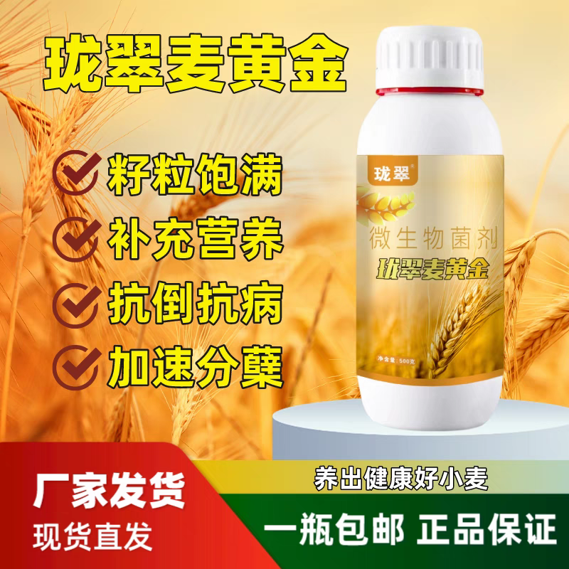 珑翠麦黄金水溶肥小麦营养液粒大分蘖抗倒伏小麦高产专用叶面