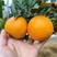 汉源县原产地黄果柑，新鲜采摘，对接全国各地批发商可以看货