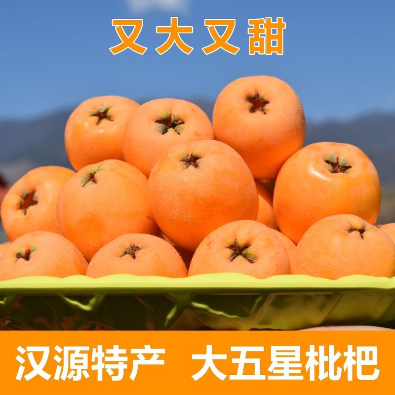 汉源县枇杷个大味美，新鲜采摘果园直发对接全国各地的批发商