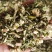 益母草新货青色益母草批发零售各种规格中药材