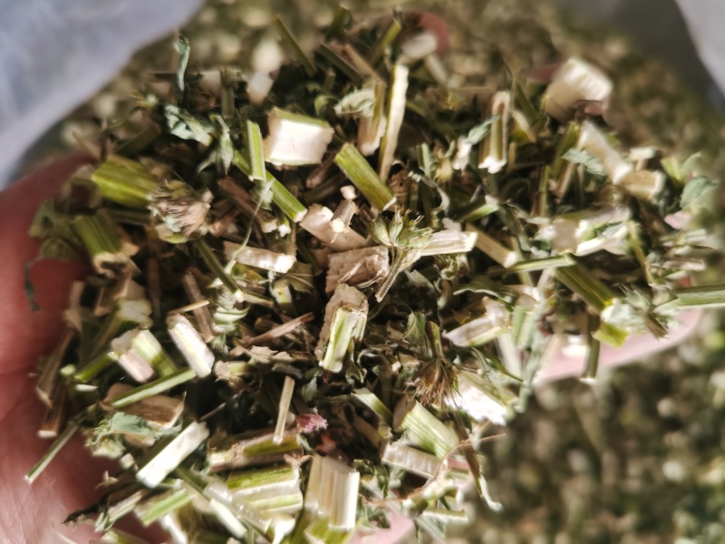 益母草新货青色益母草批发零售各种规格中药材
