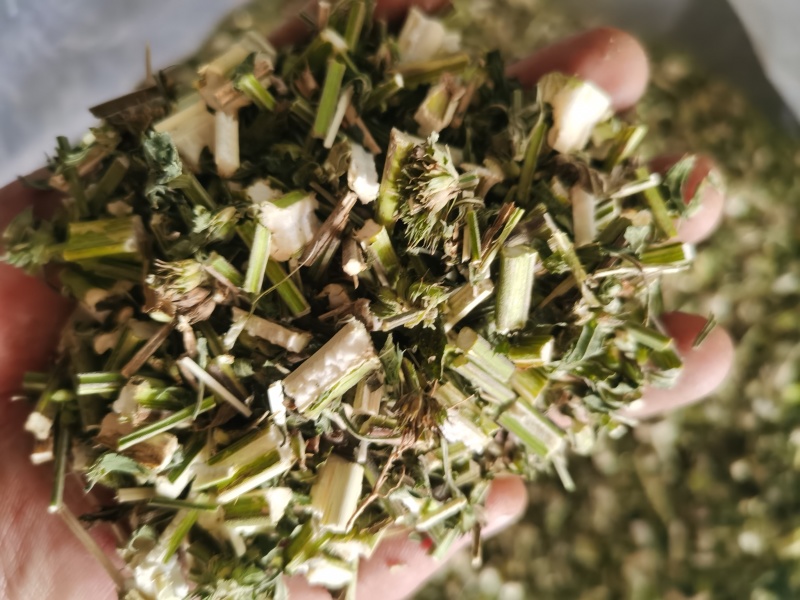 益母草新货青色益母草批发零售各种规格中药材