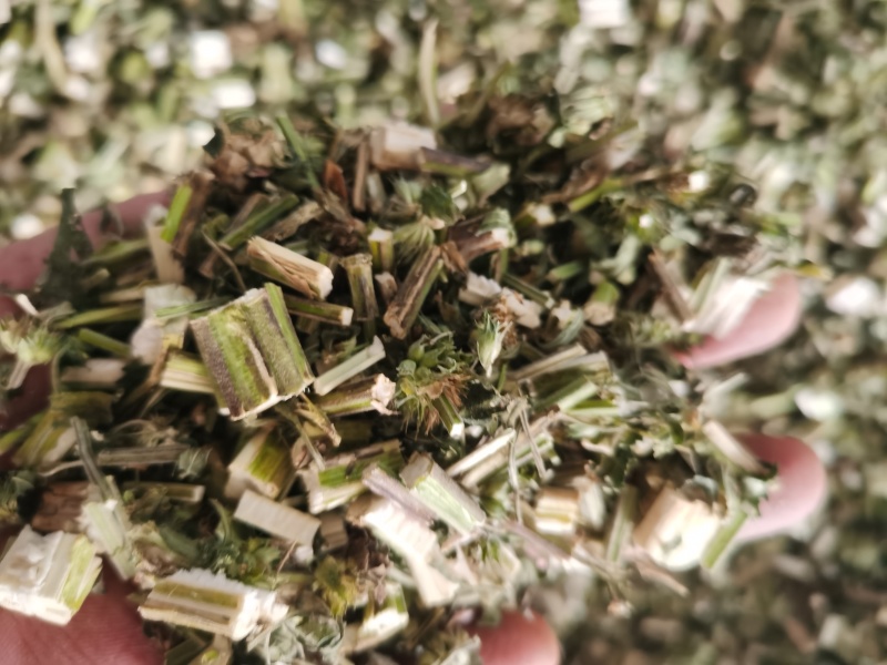 益母草新货青色益母草批发零售各种规格中药材