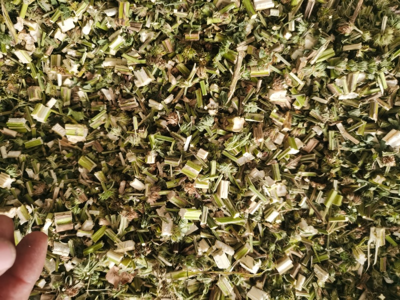 益母草新货青色益母草批发零售各种规格中药材