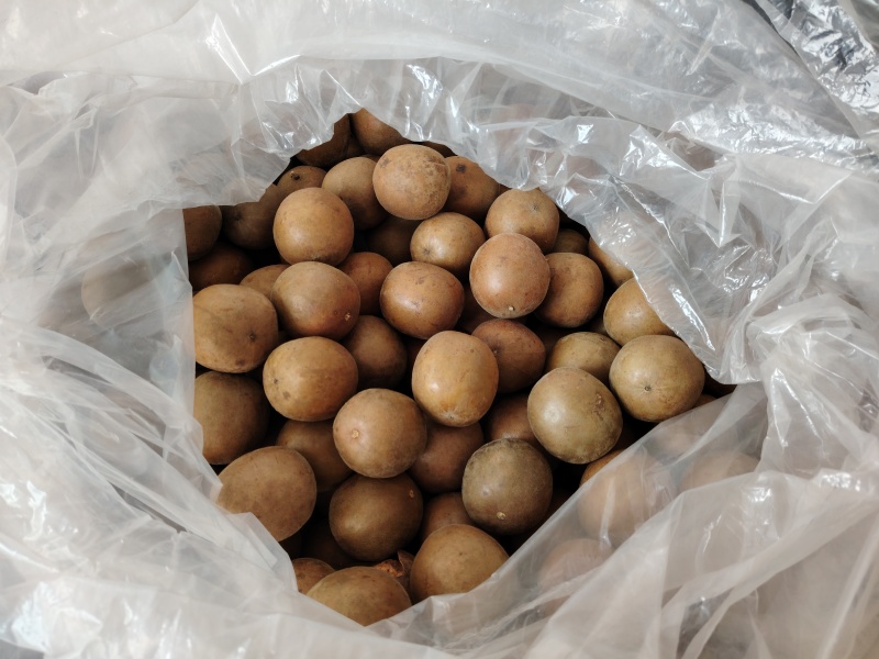 罗汉果一件代发可直接下单货源充足保质保量发货