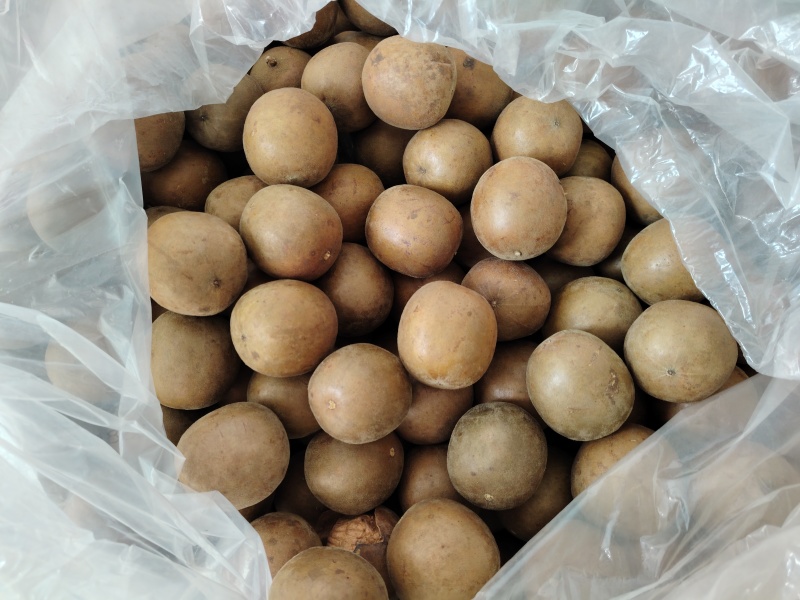 罗汉果一件代发可直接下单货源充足保质保量发货