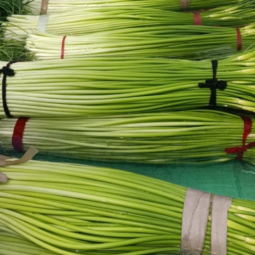 蒜薹