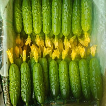 大量有货