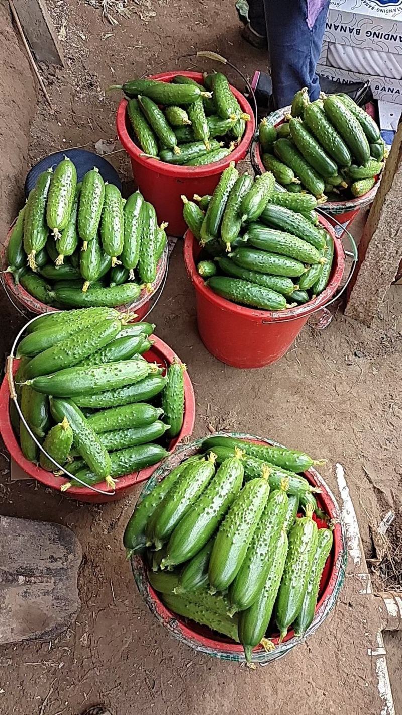 大量有货