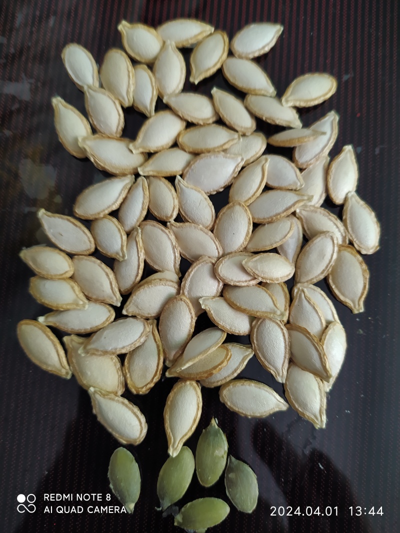 贵州铜仁无硫生吃休闲食品食材土南瓜子干货饱满洁白南瓜种子