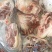 后腿包