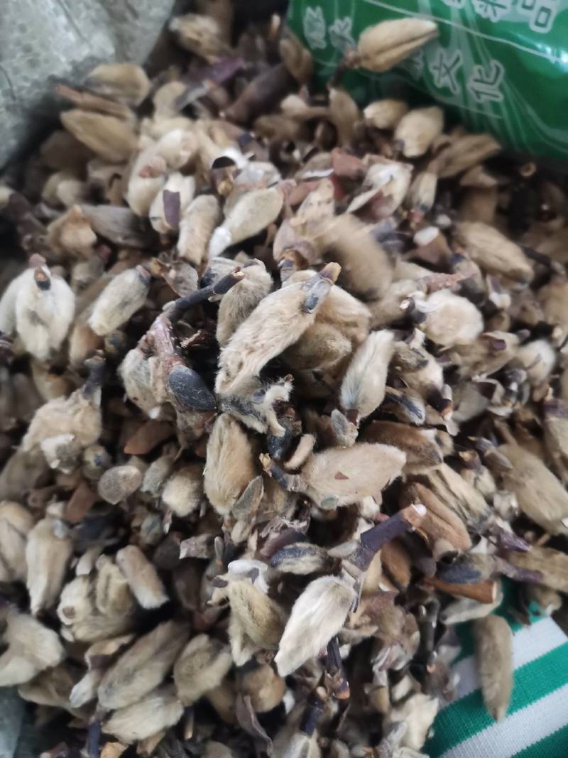 中药辛夷中药材辛夷花野生可磨辛夷粉辛夷花粉包邮