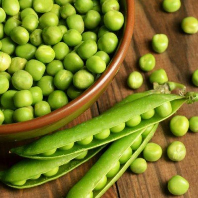青豌豆四月下旬上市，基地直发，大量供应中
