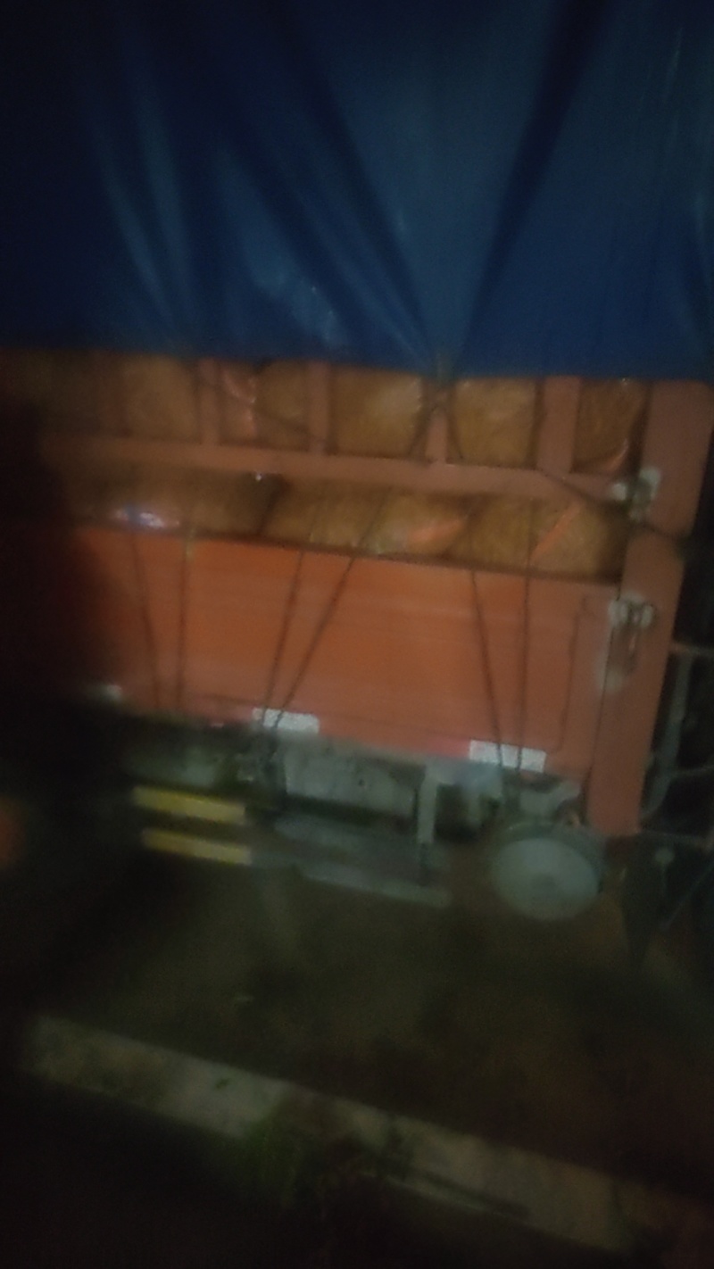 青豌豆籽粒饱满无烂角，基地大量供应十一豆