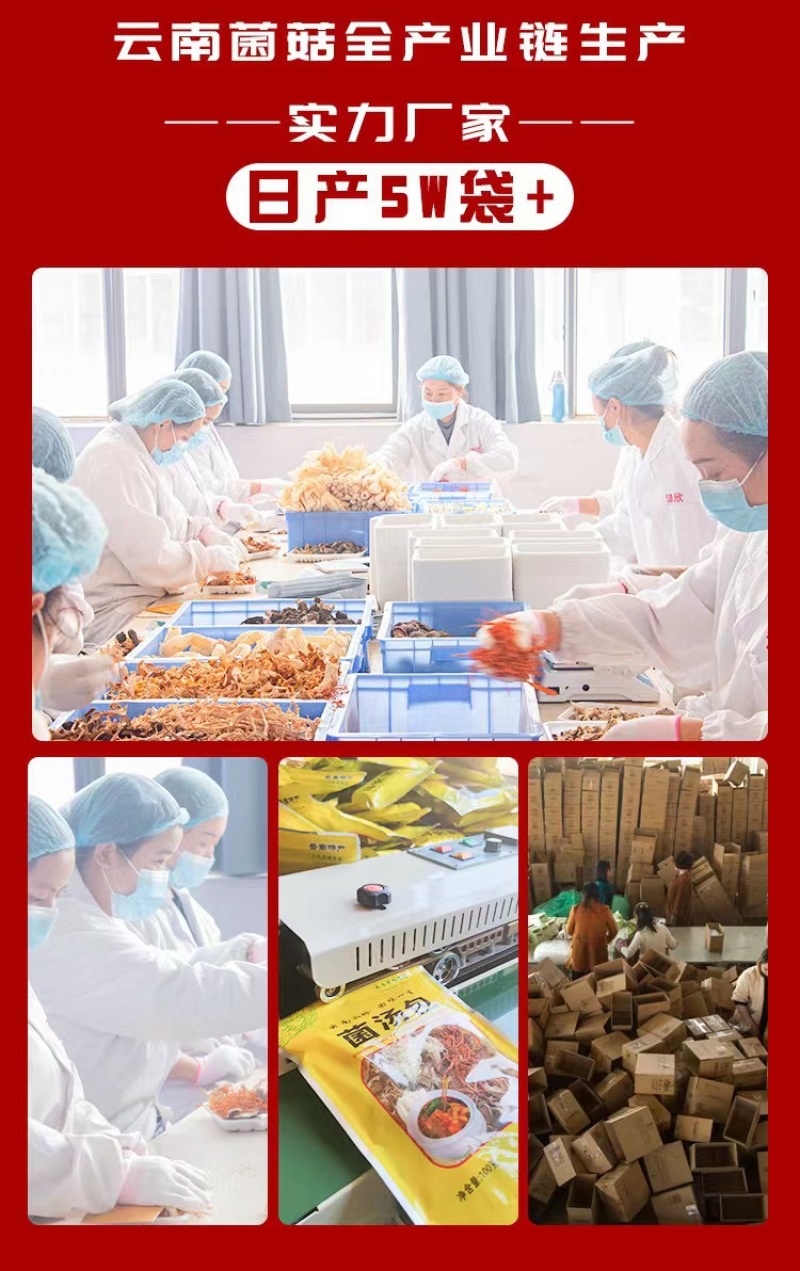 30克纯菌带羊肚菌，日期新鲜，2000袋底价出货，看上