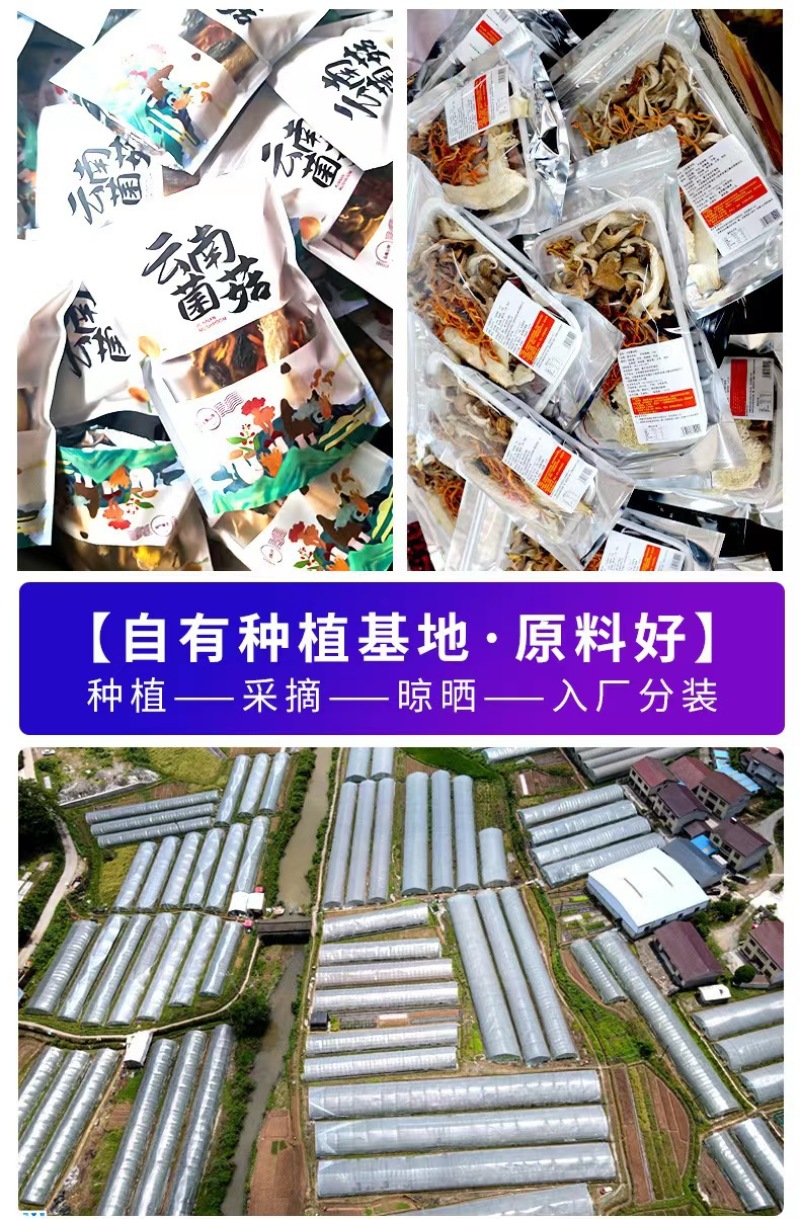 30克纯菌带羊肚菌，日期新鲜，2000袋底价出货，看上