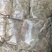 精品牛小肠大肠大量有货量大优惠货源稳定欢迎电话联系洽谈