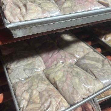 精品牛小肠大肠大量有货量大优惠货源稳定欢迎电话联系洽谈