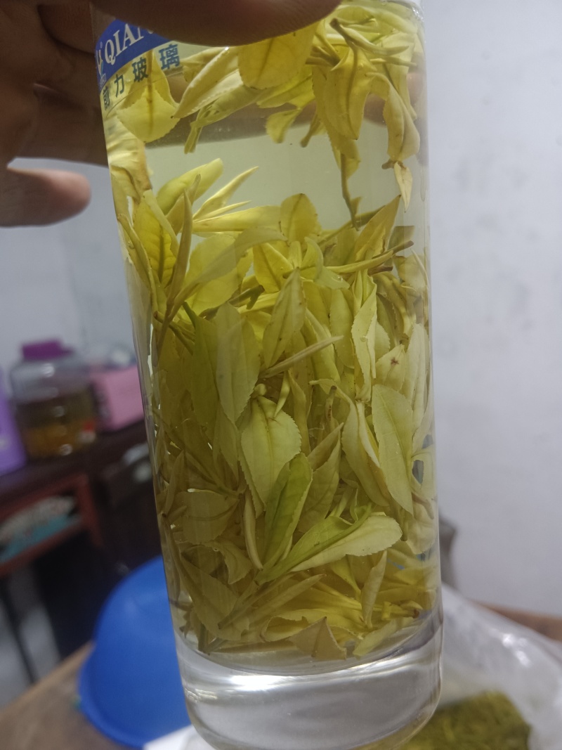 安吉白茶，黄茶，奶白茶，绿茶