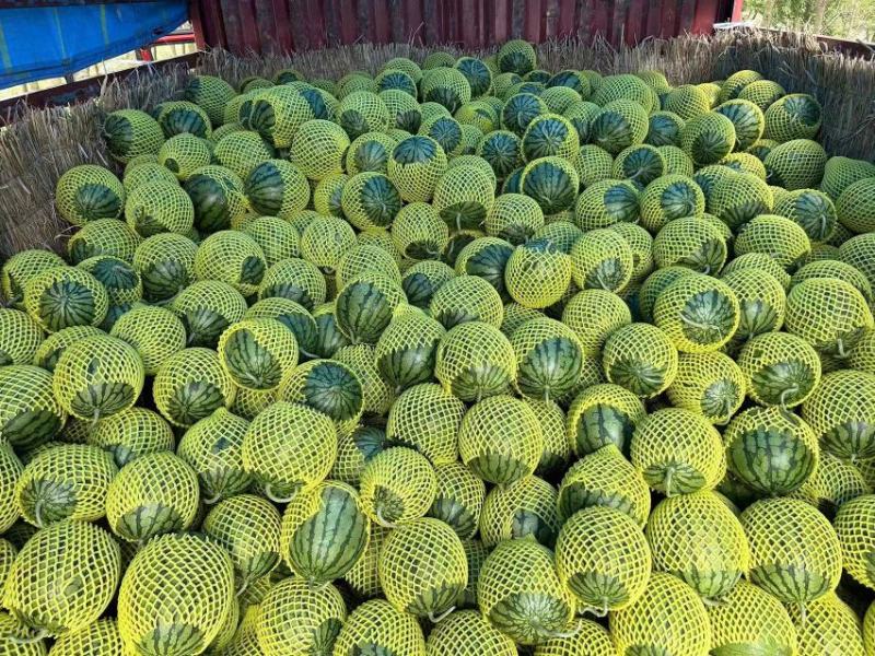 江苏东台特小凤西瓜/产地直发/大量供应/品质保障包熟包甜