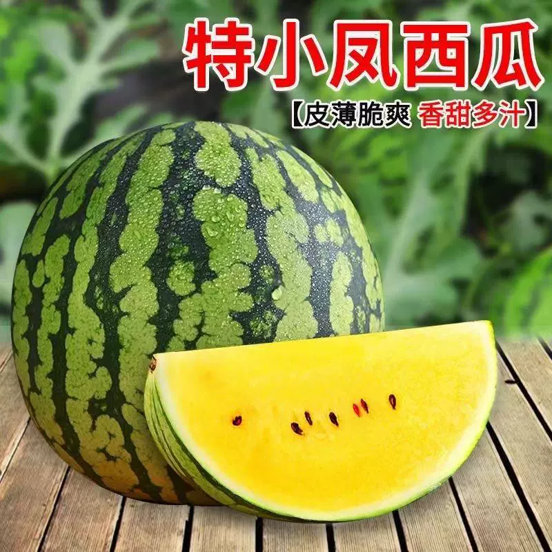 江苏东台特小凤西瓜/产地直发/大量供应/品质保障包熟包甜