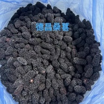 速冻桑葚冷冻桑葚大凉山桑葚