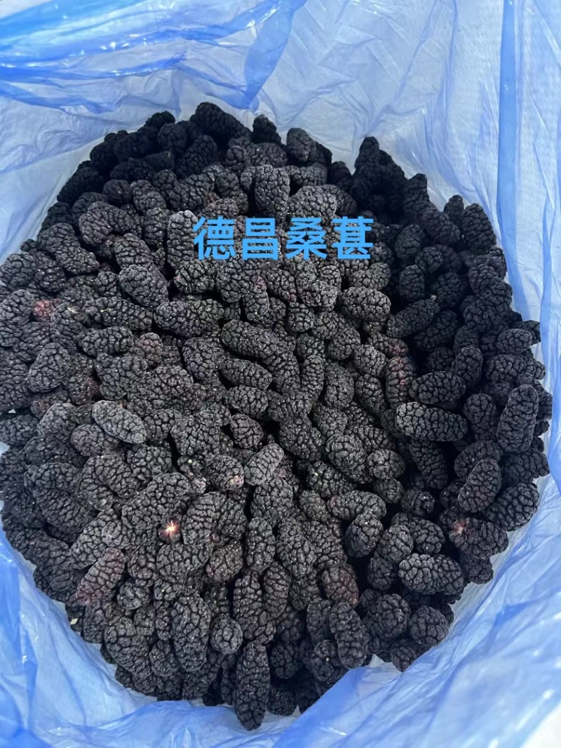 速冻桑葚冷冻桑葚大凉山桑葚