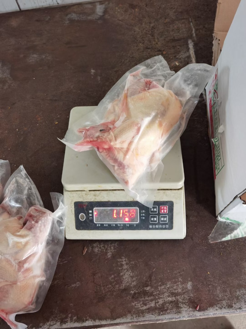 电商专用老母鸡一件代发