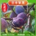 无花果树苗盆栽地栽当年结果特大无花果苗耐寒南北方种植果树