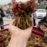 四川大竹二茬香椿芽，质量上层，颜色漂亮，欢迎来电资询