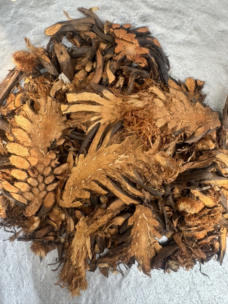 贯众绵马贯众绵贯众实物拍摄发货如图保庆药业