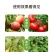 大量元素水溶肥料平衡高磷高钾高氮冲施肥大量元素水溶肥