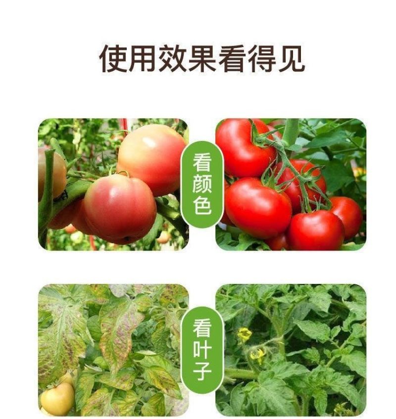 大量元素水溶肥料平衡高磷高钾高氮冲施肥大量元素水溶肥