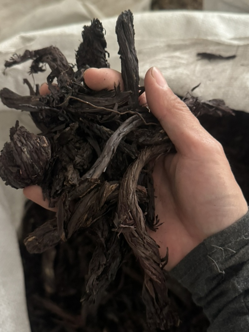 紫草保庆药业批发紫草实物拍摄发货如图通货
