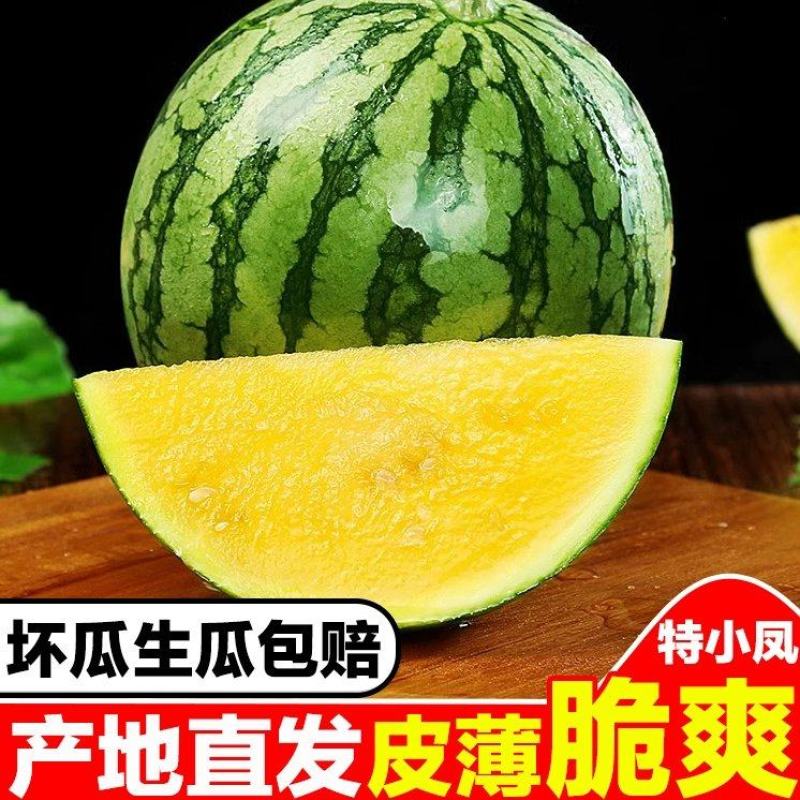 江苏东台特小凤西瓜个头均匀甜度高/产地直发/保质保量