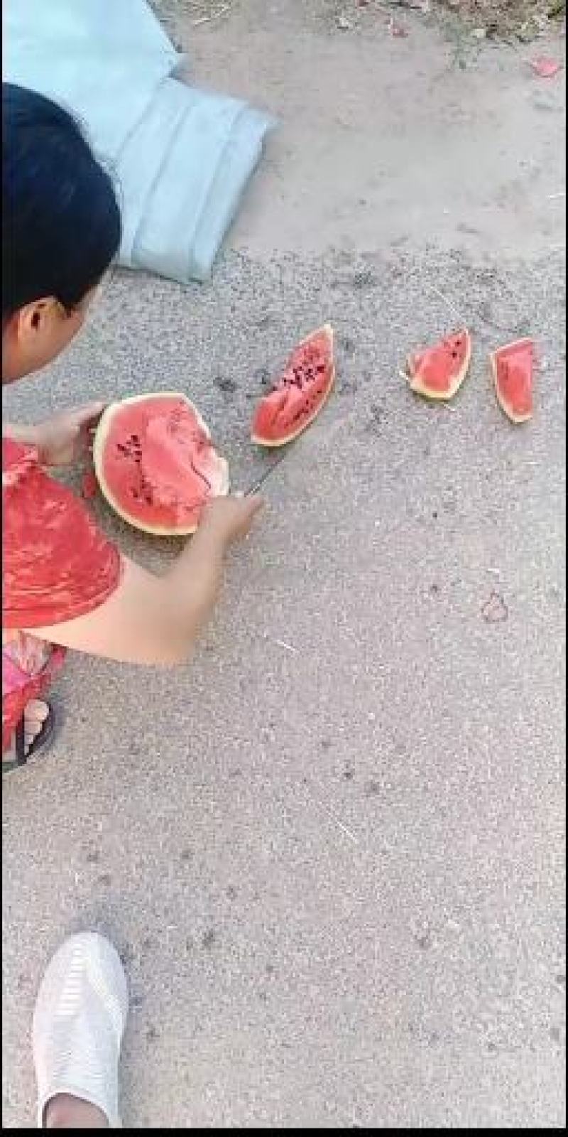 山东2K西瓜.小糖丸西瓜.货源充足，产地直发