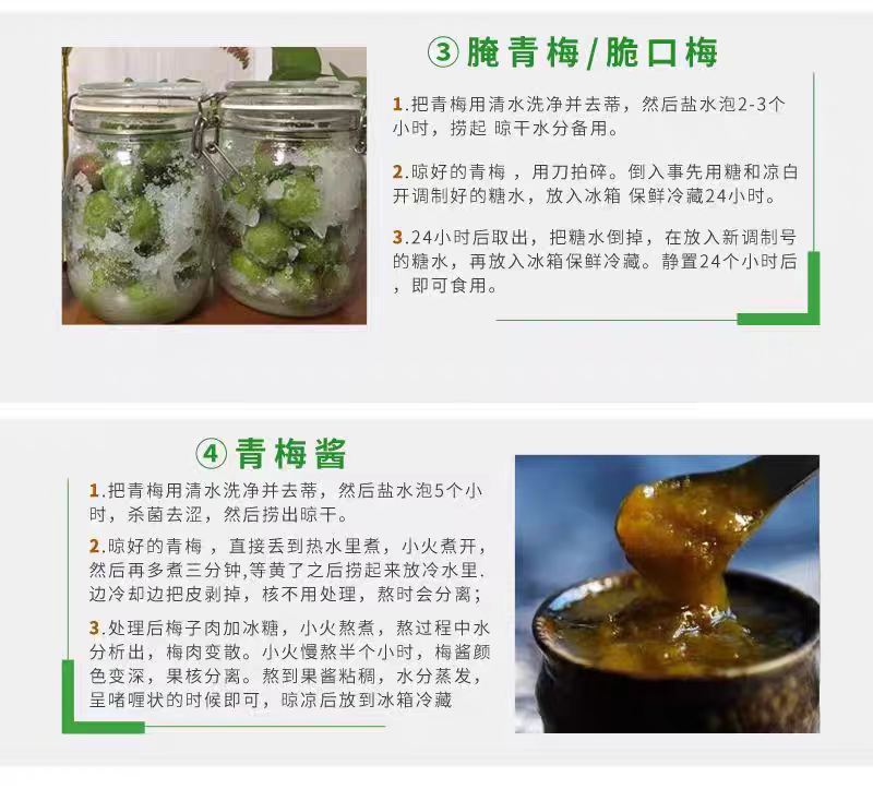 出自家高山青梅果，果肉饱满。适用于泡酒专用，优选优质A级