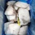 鳕鱼片，品质保证，价格便宜，货源充足，欢迎咨询