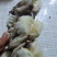 切蟹，价格便宜，品质保证，货源充足，欢迎咨询