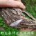 包邮野生杜仲皮中药材批发正品厚皮老树杜仲茶杜仲雄花茶泡酒