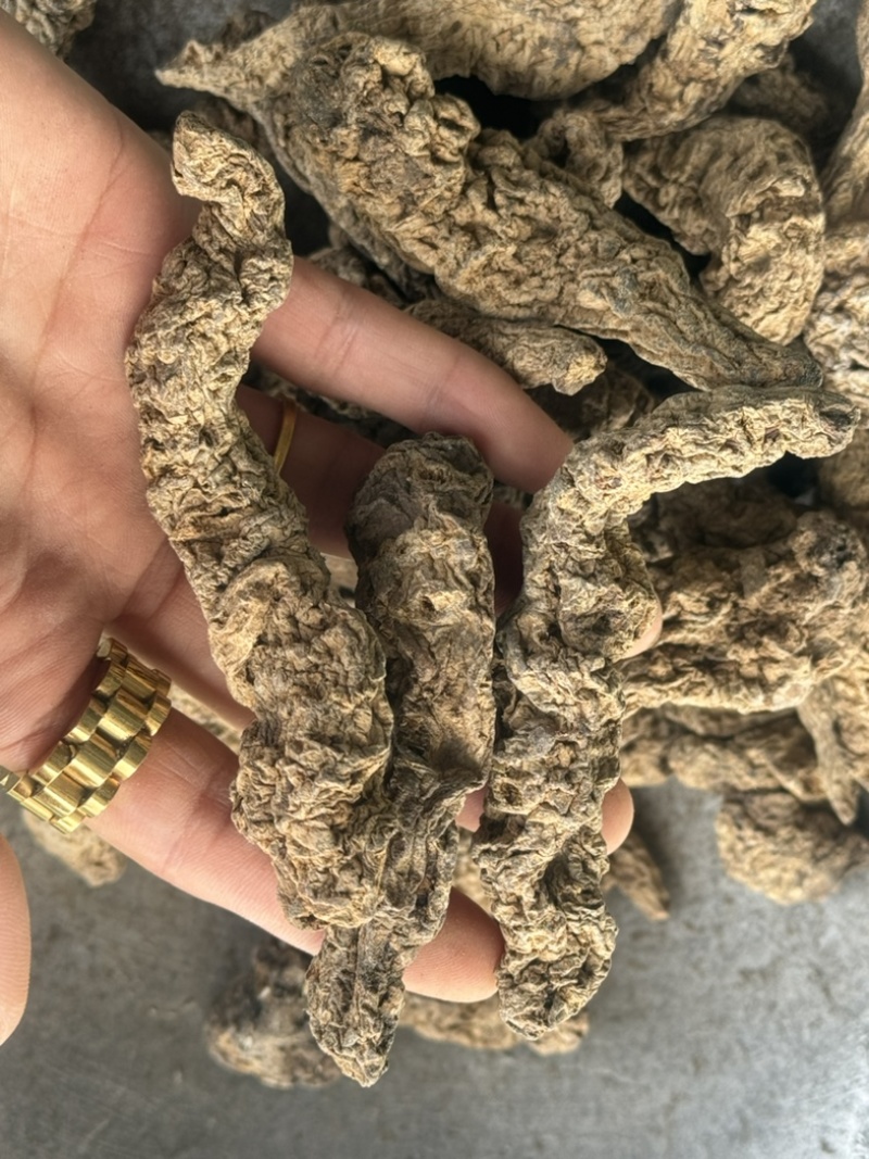 生地黄生地黄个生地黄片实物拍摄发货如图保庆药业