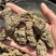 生地黄生地黄个生地黄片实物拍摄发货如图保庆药业