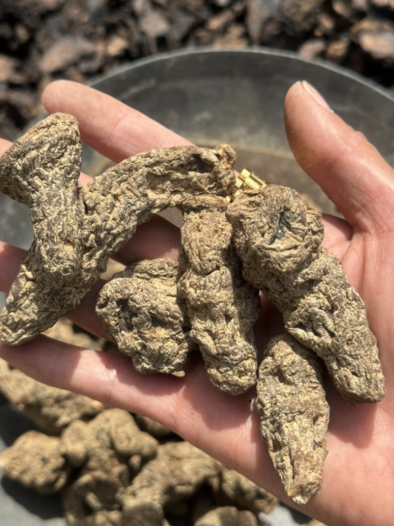 生地黄生地黄个生地黄片实物拍摄发货如图保庆药业