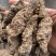 生地黄生地黄个生地黄片实物拍摄发货如图保庆药业