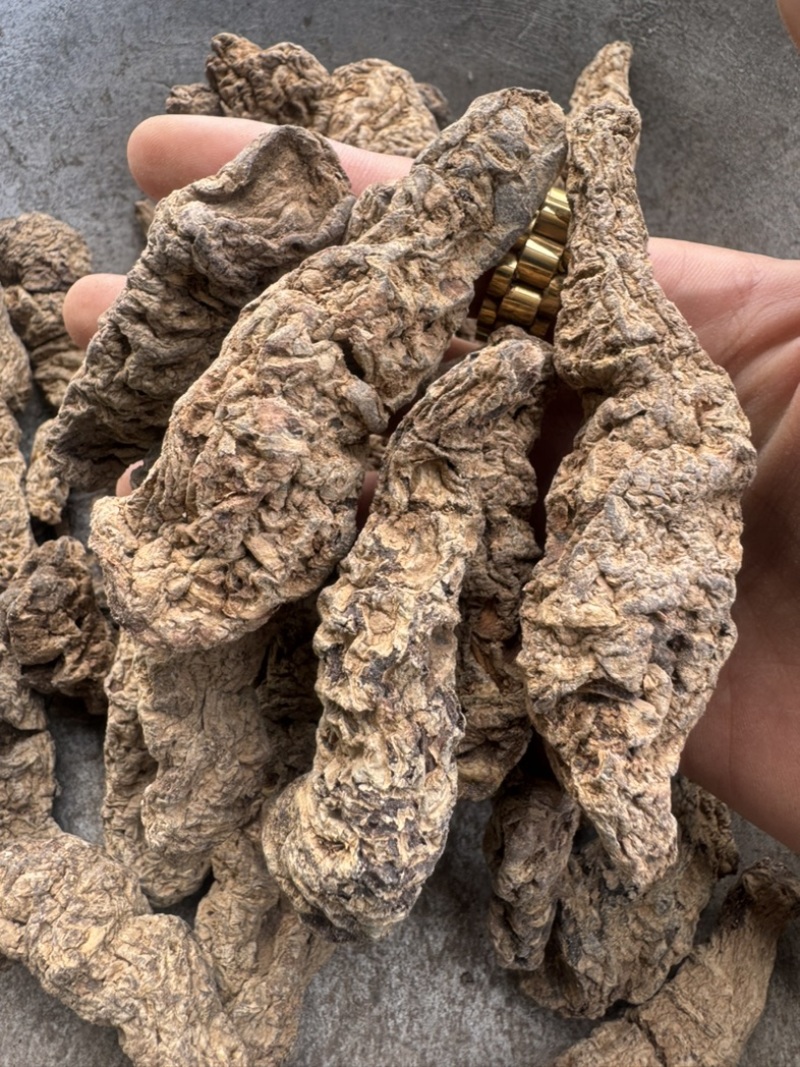 生地黄生地黄个生地黄片实物拍摄发货如图保庆药业
