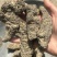 生地黄生地黄个生地黄片实物拍摄发货如图保庆药业