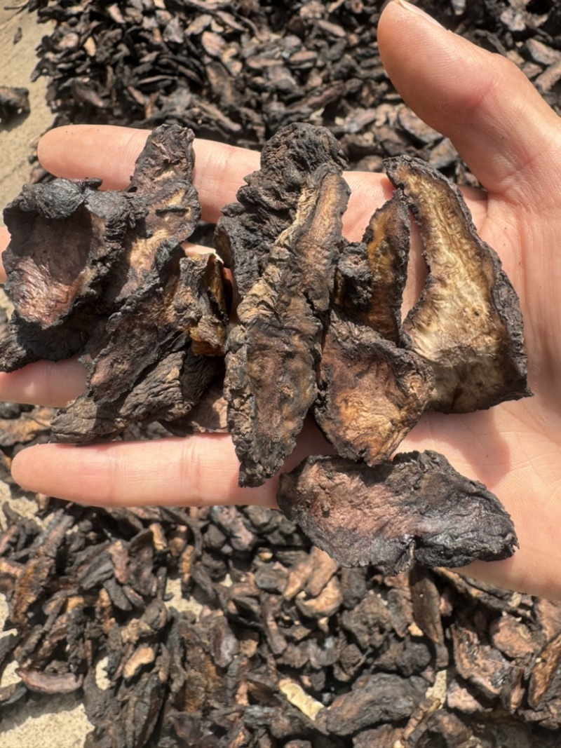 生地黄生地黄个生地黄片实物拍摄发货如图保庆药业