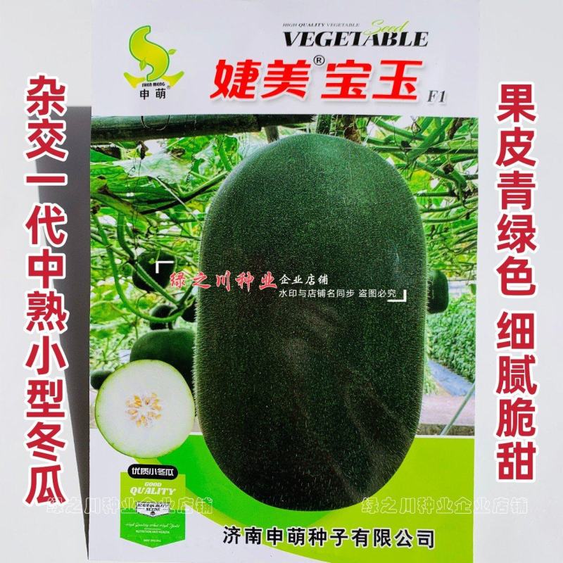 婕美宝玉杂交小冬瓜种子3至6斤小型冬瓜种子果皮青绿色