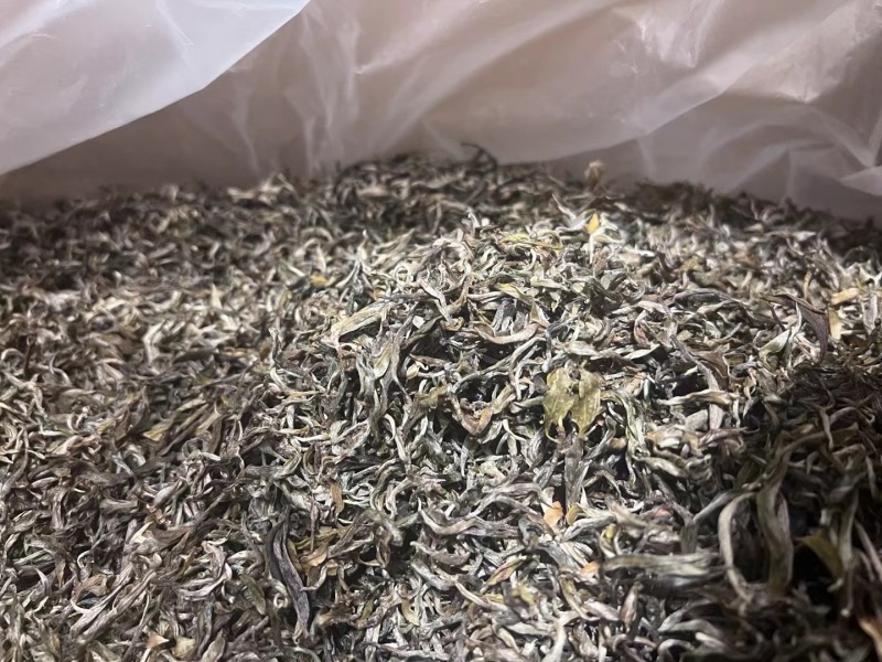 品质保证！正宗普洱茶，新鲜上市！赶紧选购，享受纯正茶香！